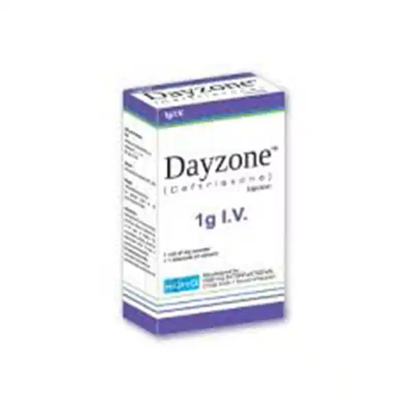 Dayzone 1 Grams Injection